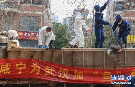 3月13日，一批运到湖北省武汉市硚口区华生汉口城市广场社区的活鱼在卸货。当日，首批100吨调配自咸宁市的活鱼运抵武汉市硚口区11个街道下辖社区。 新华社记者 程敏 摄